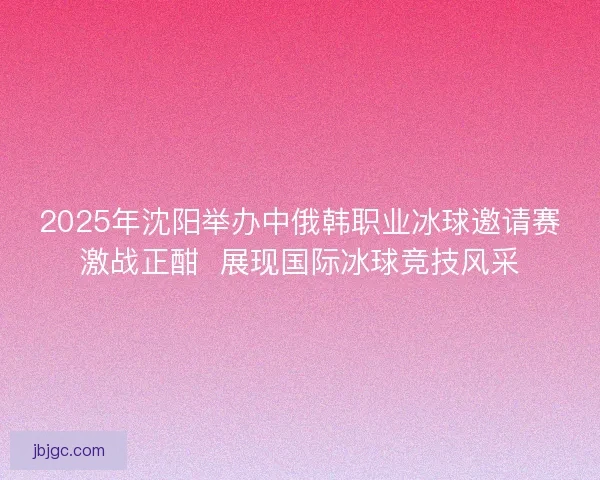 2025年沈阳举办中俄韩职业冰球邀请赛激战正酣  展现国际冰球竞技风采