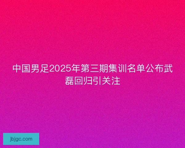 中国男足2025年第三期集训名单公布武磊回归引关注